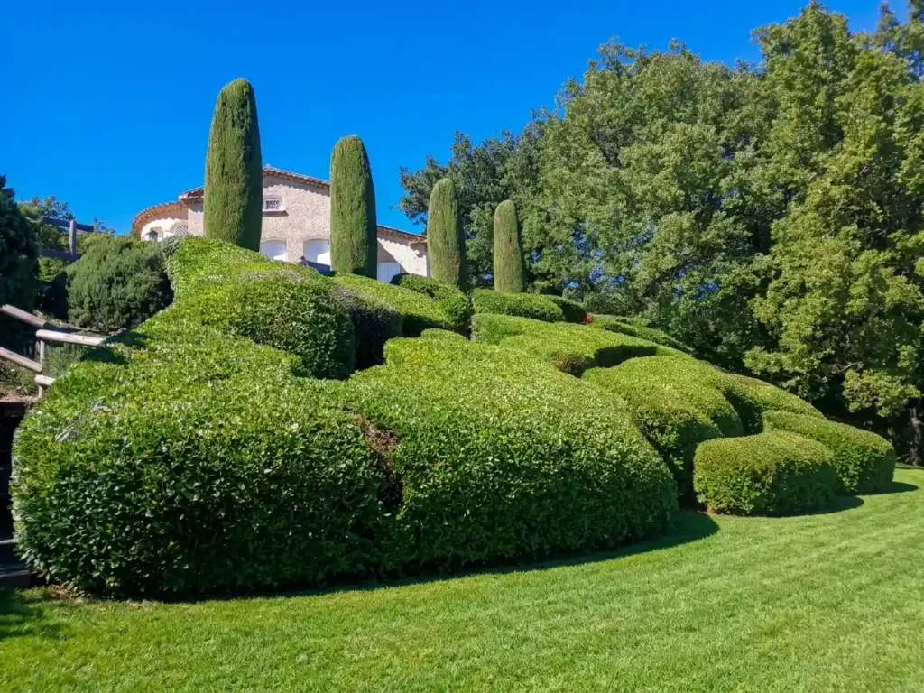 Taille de haie par Laurie Paysage en Drôme Provençale