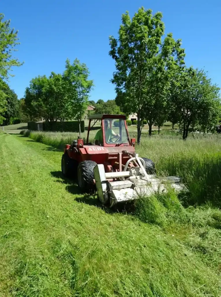 Fauchage par Laurie Paysage en Drôme Provençale